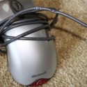 microsoft1