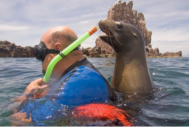 Seal trolling an unexpecting tourist...